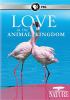 Go to record Love in the animal kingdom