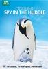 Go to record Penguins : spy in the huddle.