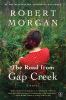 Go to record The road from Gap Creek : a novel