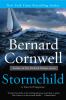Go to record Stormchild : a novel of suspense