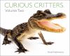 Go to record Curious critters. Volume two