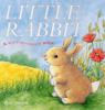 Go to record Little Rabbit