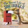 Go to record The secret life of squirrels
