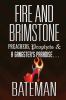 Go to record Fire and brimstone : preachers, prophets & a gangster's pa...