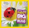 Go to record First big book of bugs