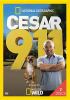 Go to record Cesar 911