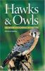 Go to record Hawks & owls of the Great Lakes Region & eastern North Ame...