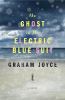 Go to record The ghost in the electric blue suit : a novel