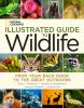 Go to record National Geographic illustrated guide to wildlife : from y...