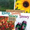 Go to record Rainy, sunny, blowy, snowy : what are seasons?