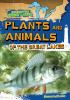 Go to record Plants and animals of the Great Lakes