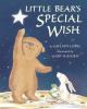 Go to record Little Bear's special wish