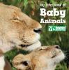 Go to record My first book of baby animals.
