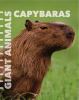Go to record Capybaras