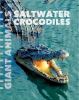 Go to record Saltwater crocodiles