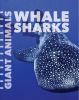 Go to record Whale sharks