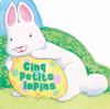 Go to record Cinq petits lapins