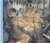 Go to record Baby owl
