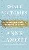 Go to record Small victories : spotting improbable moments of grace