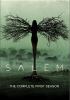Go to record Salem. The complete first season.