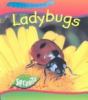 Go to record Ladybugs