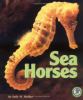 Go to record Sea horses