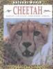 Go to record Cheetah