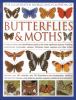 Go to record The illustrated world encyclopedia of butterflies & moths ...