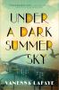 Go to record Under a dark summer sky : a novel