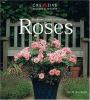 Go to record Foolproof guide to growing roses