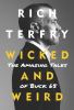 Go to record Wicked and weird : the amazing tales of Buck 65