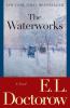 Go to record The waterworks : a novel
