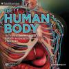 Go to record The human body : the story of how we protect, repair, and ...