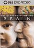 Go to record The secret life of the brain