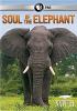 Go to record Soul of the elephant