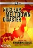 Go to record Nuclear meltdown disaster