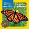 Go to record Caterpillar to butterfly