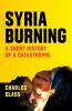 Go to record Syria burning : a short history of a catastrophe