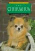 Go to record The Chihuahua