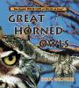 Go to record Great horned owls