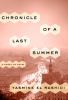 Go to record Chronicle of a last summer : a novel of Egypt