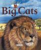 Go to record The best book of big cats