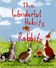 Go to record The wonderful habits of rabbits