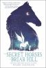 Go to record The secret horses of Briar Hill