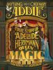 Go to record Anything but ordinary Addie : the true story of Adelaide H...