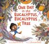 Go to record One day in the eucalyptus, eucalyptus tree