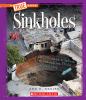 Go to record Sinkholes
