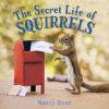 Go to record The secret life of squirrels