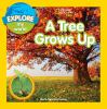 Go to record A tree grows up