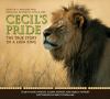 Go to record Cecil's pride : the true story of a lion king